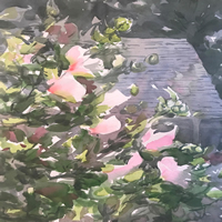 Rose of Sharon Sunlit By Nancy Smith